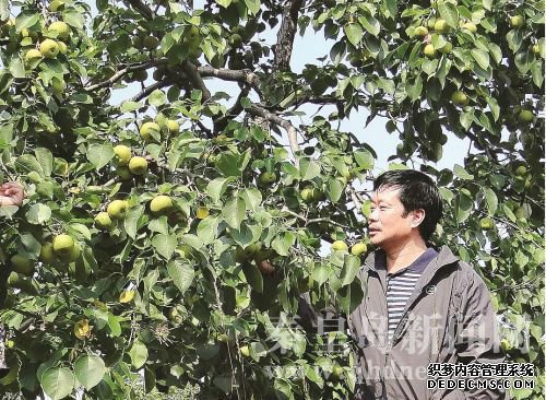 QQ截圖20161019091242