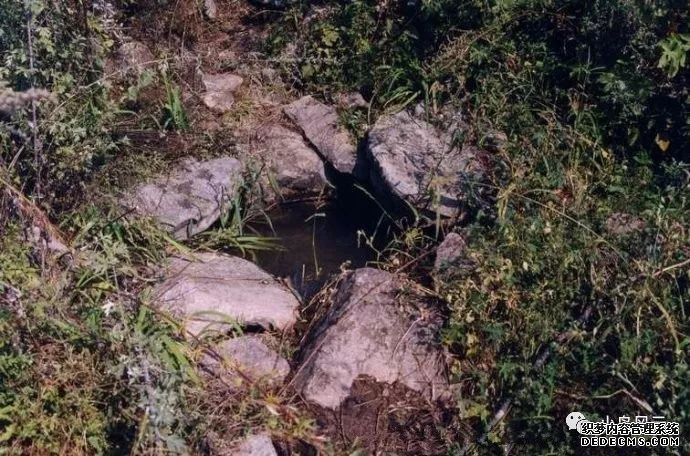 板廠峪捕蛇少年遭雷擊身亡是巧合還是報應(yīng)